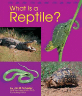 What Is a Reptile? - Schaefer, Lola M