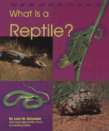 What Is a Reptile?