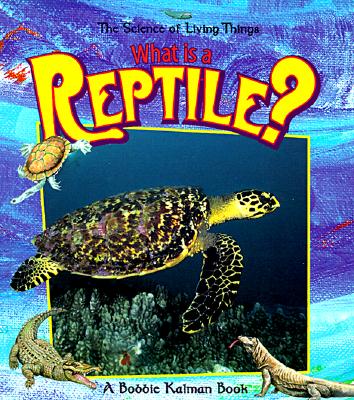 What Is a Reptile? - Kalman, Bobbie