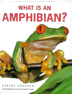 What is an Amphibian?