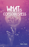 What Is Consciousness