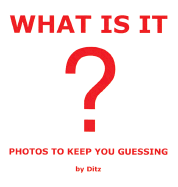 What Is It?: Photos to Keep You Guessing
