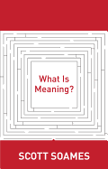 What Is Meaning?