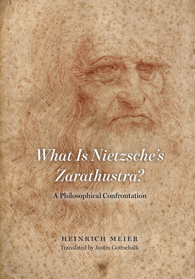 What Is Nietzsche's Zarathustra?: A Philosophical Confrontation - Meier, Heinrich, and Gottschalk, Justin (Translated by)