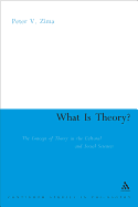 What is Theory?