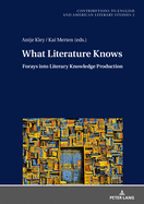 What Literature Knows: Forays Into Literary Knowledge Production
