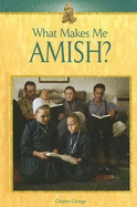 What Makes Me Amish?