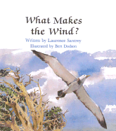 What Makes the Wind?