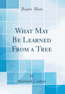 What May Be Learned from a Tree (Classic Reprint)