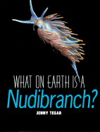 What on Earth is a Nudibranch?