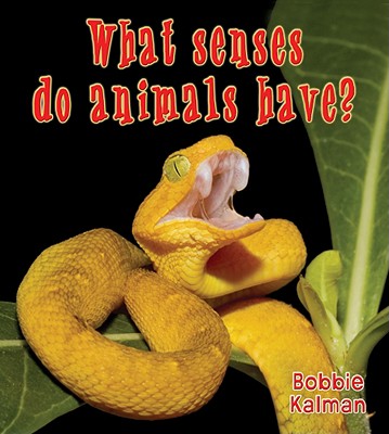 What Senses Do Animals Have? - Kalman, Bobbie
