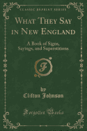 What They Say in New England: A Book of Signs, Sayings, and Superstitions (Classic Reprint)