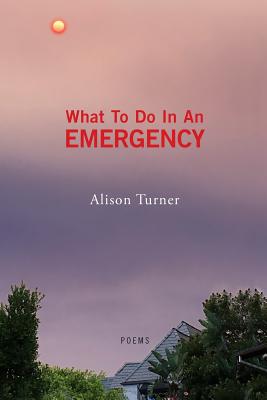 What To Do In An Emergency - Turner, Alison