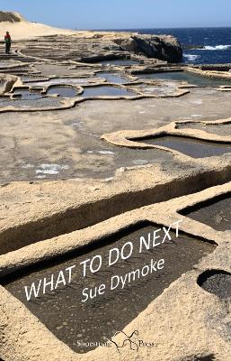 What To Do Next - Dymoke, Sue, and Belbin, David (Introduction by), and Typesetters, The Book (Designer)