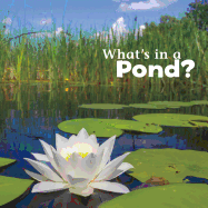 Whats in a Pond?