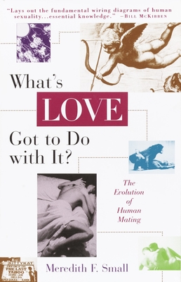 What's Love Got to Do with It?: The Evolution of Human Mating - Small, Meredith
