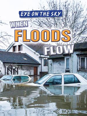 When Floods Flow - Linde, Barbara M