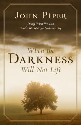 When the Darkness Will Not Lift: Doing What We Can While We Wait for God--And Joy - Piper, John, and Shepherd, Wayne (Read by)