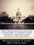 Where Political Extremists and Greedy Criminals Meet: A Comparative Study of Financial Crimes and Criminal Networks in the United States