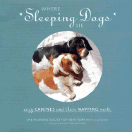 Where Sleeping Dogs Lie: Cozy Canines and Their Napping Nests