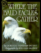 Where the Bald Eagles Gather