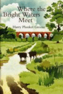 Where the Bright Waters Meet - Greene, Harry Plunket