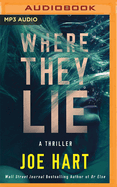 Where They Lie: A Thriller