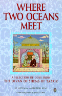Where Two Oceans Meet