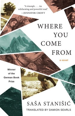 Where You Come from - Stanisic, Sasa, and Searls, Damion (Translated by)