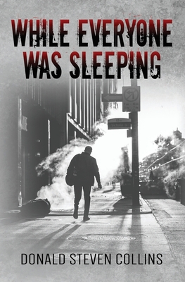 While Everyone Was Sleeping: A Litchfield & Danski novel - Collins, Donald Steven