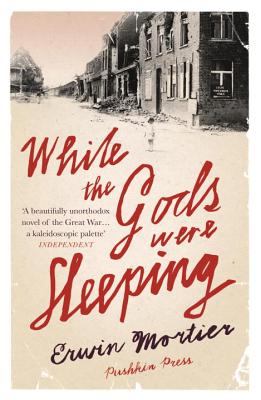 While the Gods Were Sleeping - Mortier, Erwin, and Vincent, Paul (Translated by)
