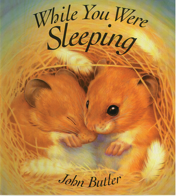 While You Were Sleeping - Butler, John