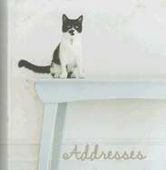 White Collection: Black and White Cat on Table