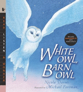 White Owl, Barn Owl - Davies, Nicola