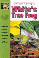 White's Tree Frogs