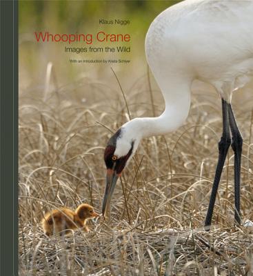 Whooping Crane: Images from the Wild - Nigge, Klaus, and Schlyer, Krista (Introduction by)