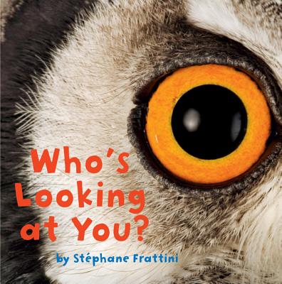 Who's Looking at You? - Frattini, Stephane