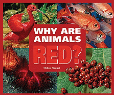 Why Are Animals Red?