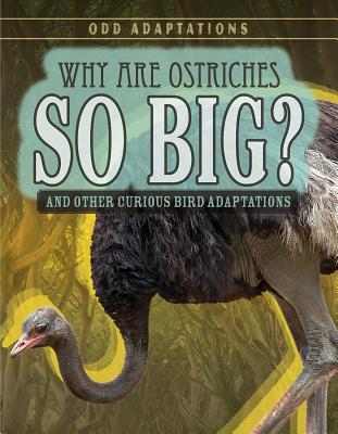 Why Are Ostriches So Big?: And Other Curious Bird Adaptations - Fletcher, Patricia, Dr.