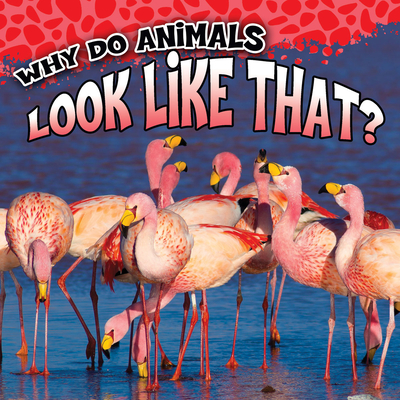 Why Do Animals Look Like That? - George
