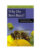 Why Do Bees Buzz?: Fascinating Answers to Questions about Bees