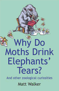 Why Do Moths Drink Elephants' Tears?: and Other Zoological Curiosities