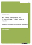 Wie knnen Beweglichkeit und Dehnungsf?higkeit effektiv trainiert werden?: Exemplarische Erstellung und Durchf?hrung eines Trainingsplanes