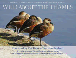 Wild About the Thames: A Celebration of the Open Spaces Along the Thames from Battersea to Hampton Court - Wilson, Andrew