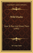 Wild Ducks: How to Rear and Shoot Them (1905)