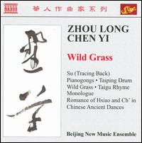 Wild Grass - Beijing New Music Ensemble; Chen Bingye (percussion); Gao Can (violin); Keith Lipson (clarinet); Li Congnong (percussion);...