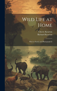 Wild Life at Home: How to Study and Photograph It