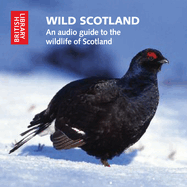 Wild Scotland: An Audio Guide to the Unique Wildlife of Scotland