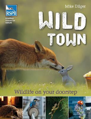 Wild Town - Dilger, Mike