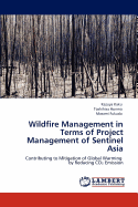 Wildfire Management in Terms of Project Management of Sentinel Asia